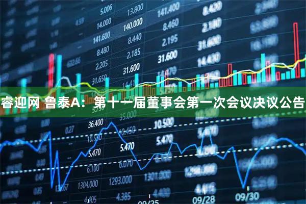 睿迎网 鲁泰A：第十一届董事会第一次会议决议公告