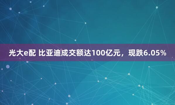 光大e配 比亚迪成交额达100亿元，现跌6.05%